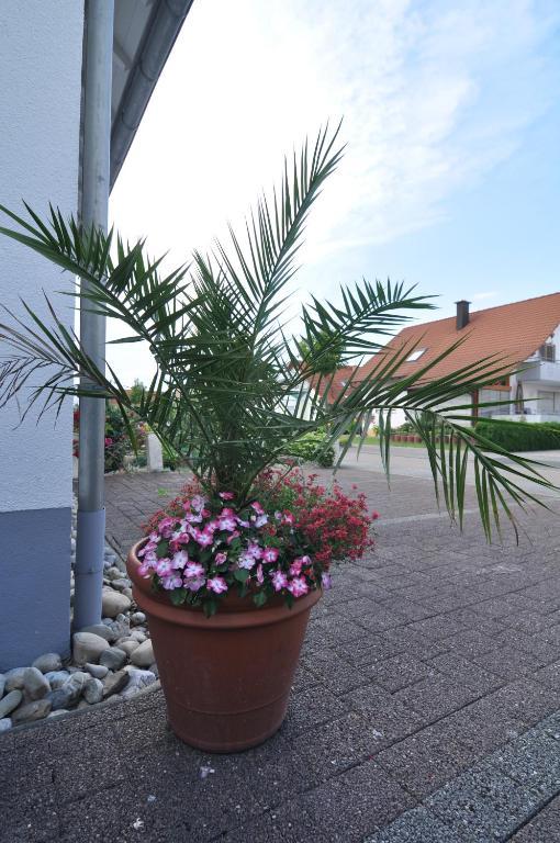 Double Two Lodge Kappel-Grafenhausen Exterior foto